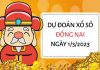 Dự đoán kết quả xổ số Đồng Nai ngày 1/3/2023 thứ 4 hôm nay